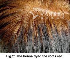 230919155106_Hair-Dying with henna-s.jpg